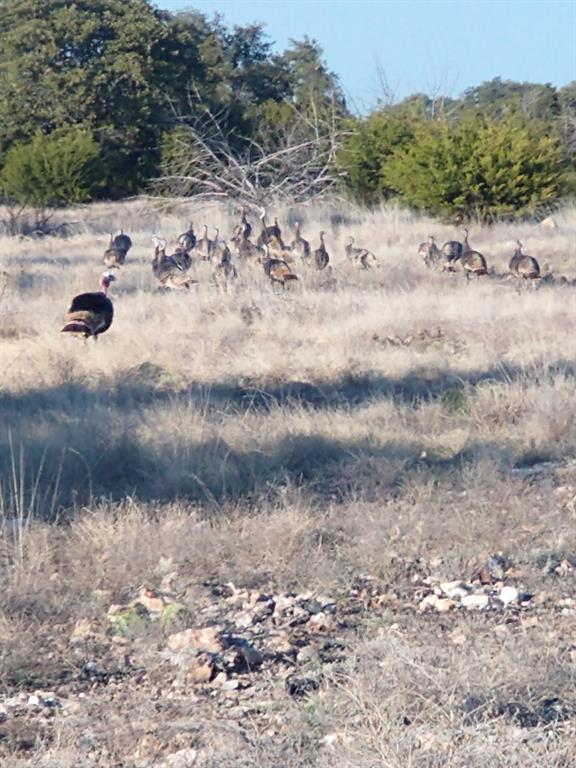 919 Sd, Unit 16010 Rocksprings, TX 78880 - Photo 5 of 40