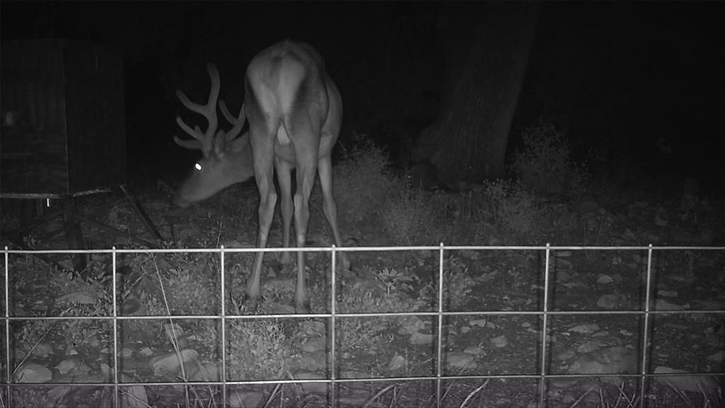 919 Sd, Unit 16010 Rocksprings, TX 78880 - Photo 7 of 40