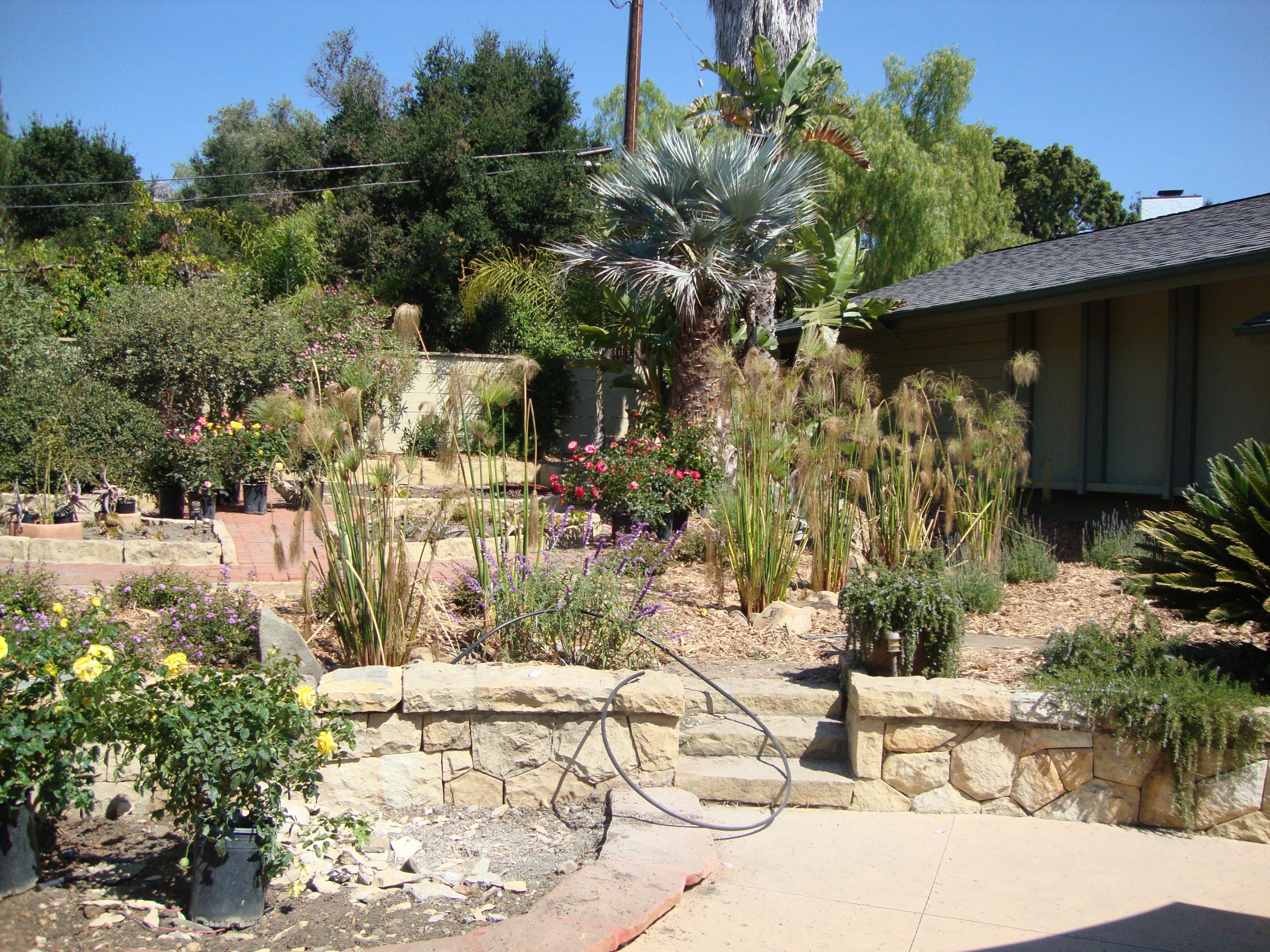 989 Tornoe Road Santa Barbara, CA 93105 - Photo 15 of 25 New Landscape
