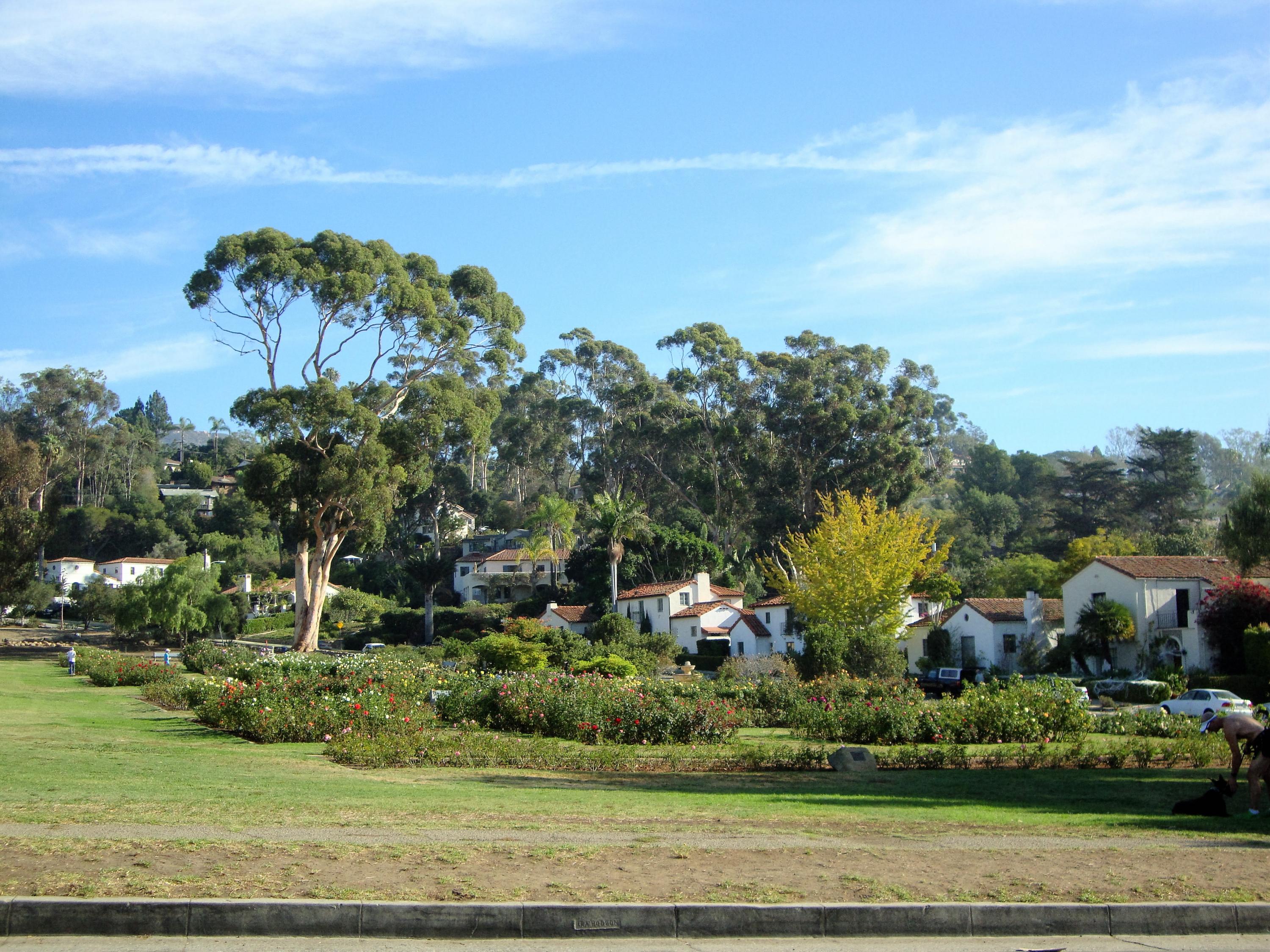 989 Tornoe Road Santa Barbara, CA 93105 - Photo 25 of 25 DSC02429