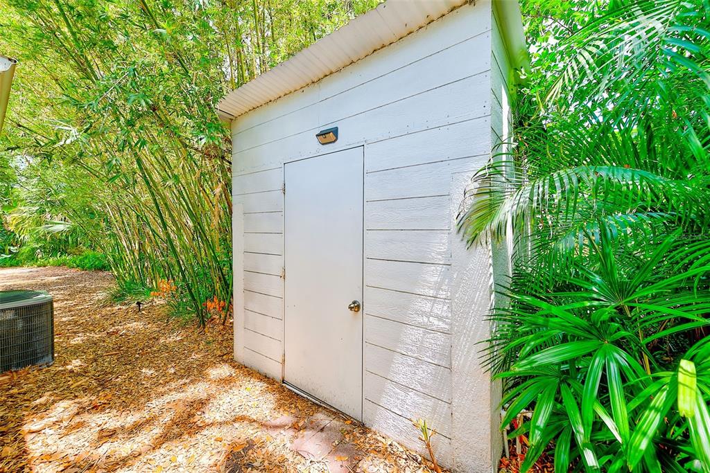 1578 Druid Road South Belleair, FL 33756 - Photo 44 of 55