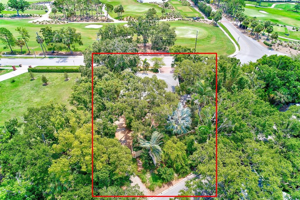 1578 Druid Road South Belleair, FL 33756 - Photo 49 of 55