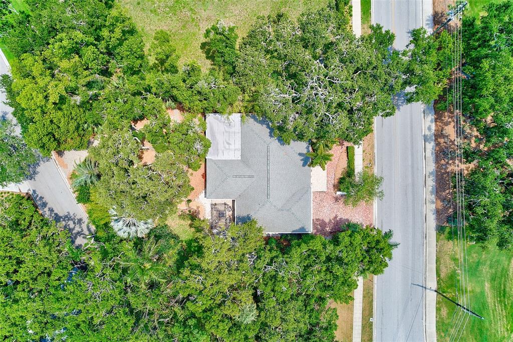 1578 Druid Road South Belleair, FL 33756 - Photo 50 of 55