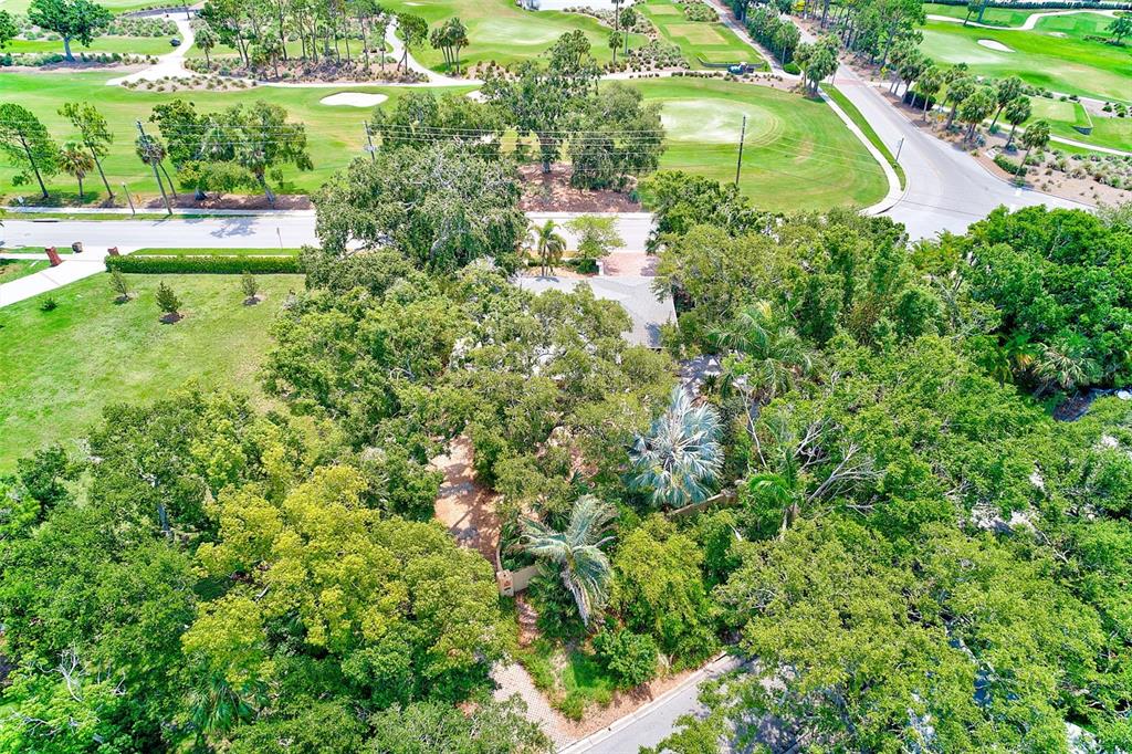 1578 Druid Road South Belleair, FL 33756 - Photo 51 of 55