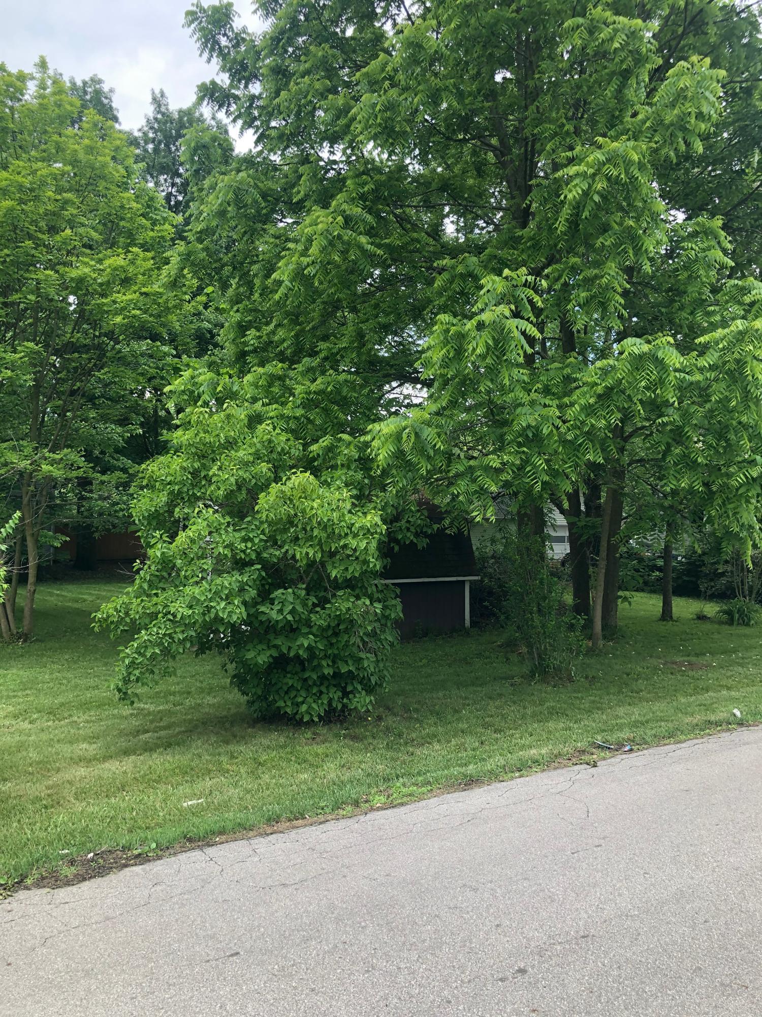 0 Jeannette Road Hilliard, OH 43026 - Photo 3 of 10