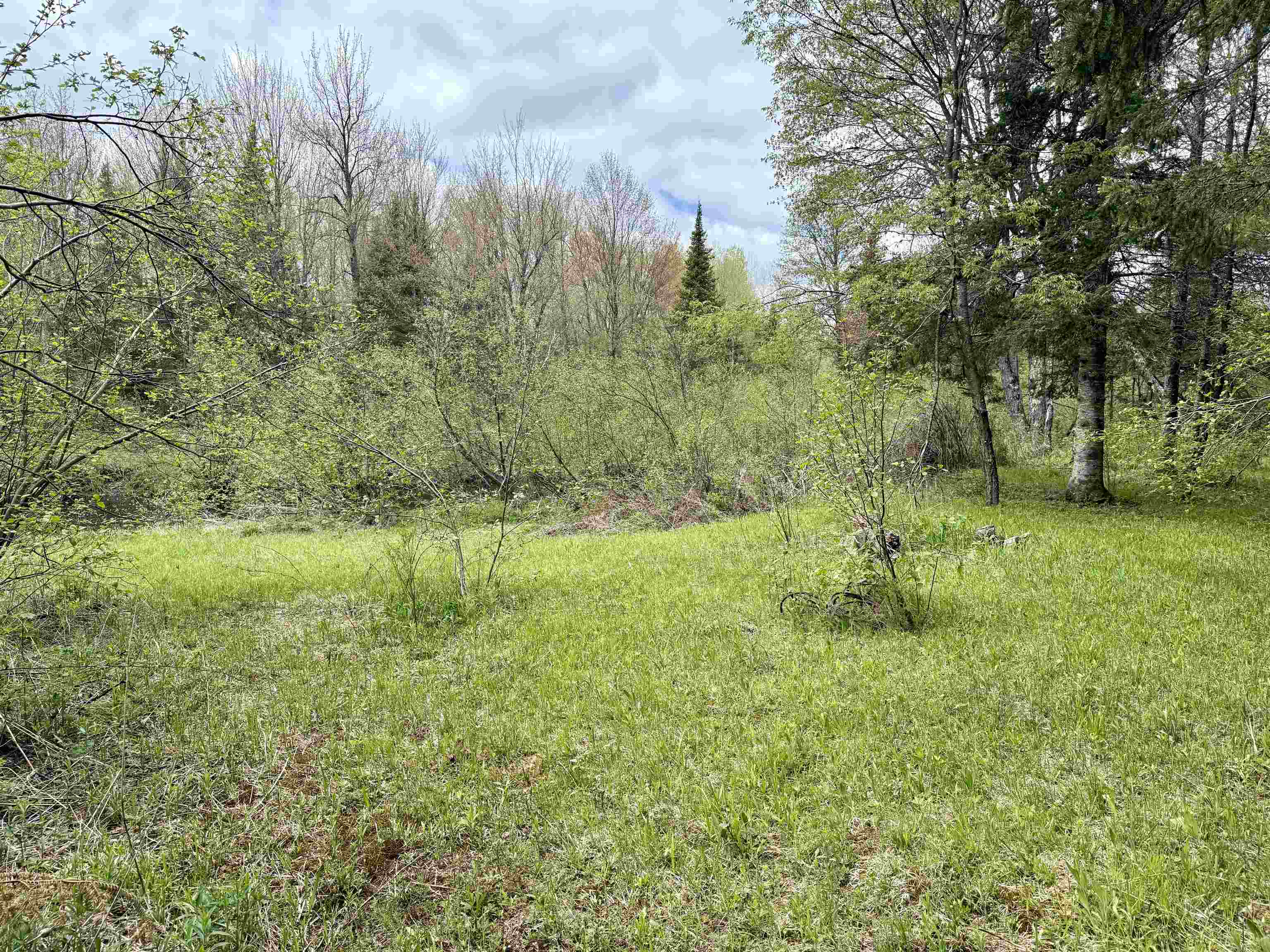 0 Garvin Place Tripoli, WI 54564 - Photo 18 of 18