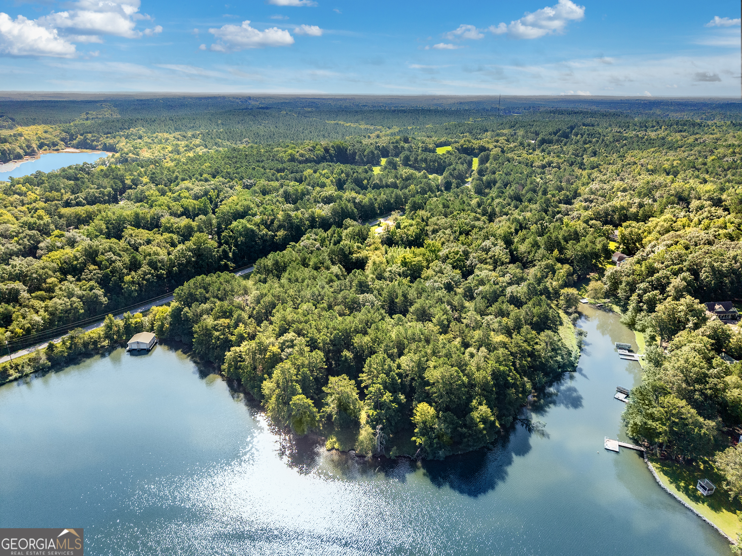 10-acres Walker Church Road Greensboro, GA 30642 - Photo 11 of 20