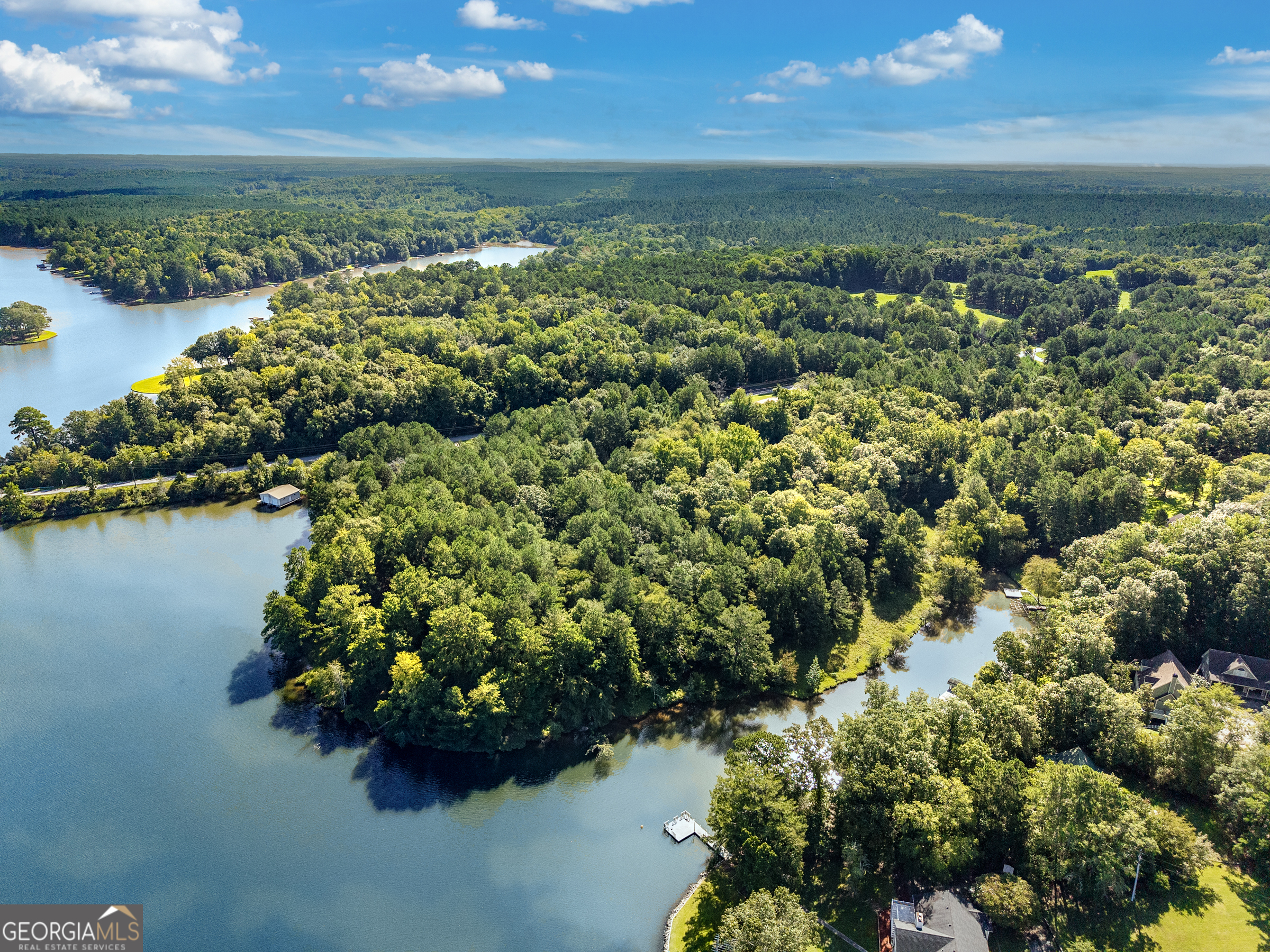 10-acres Walker Church Road Greensboro, GA 30642 - Photo 12 of 20