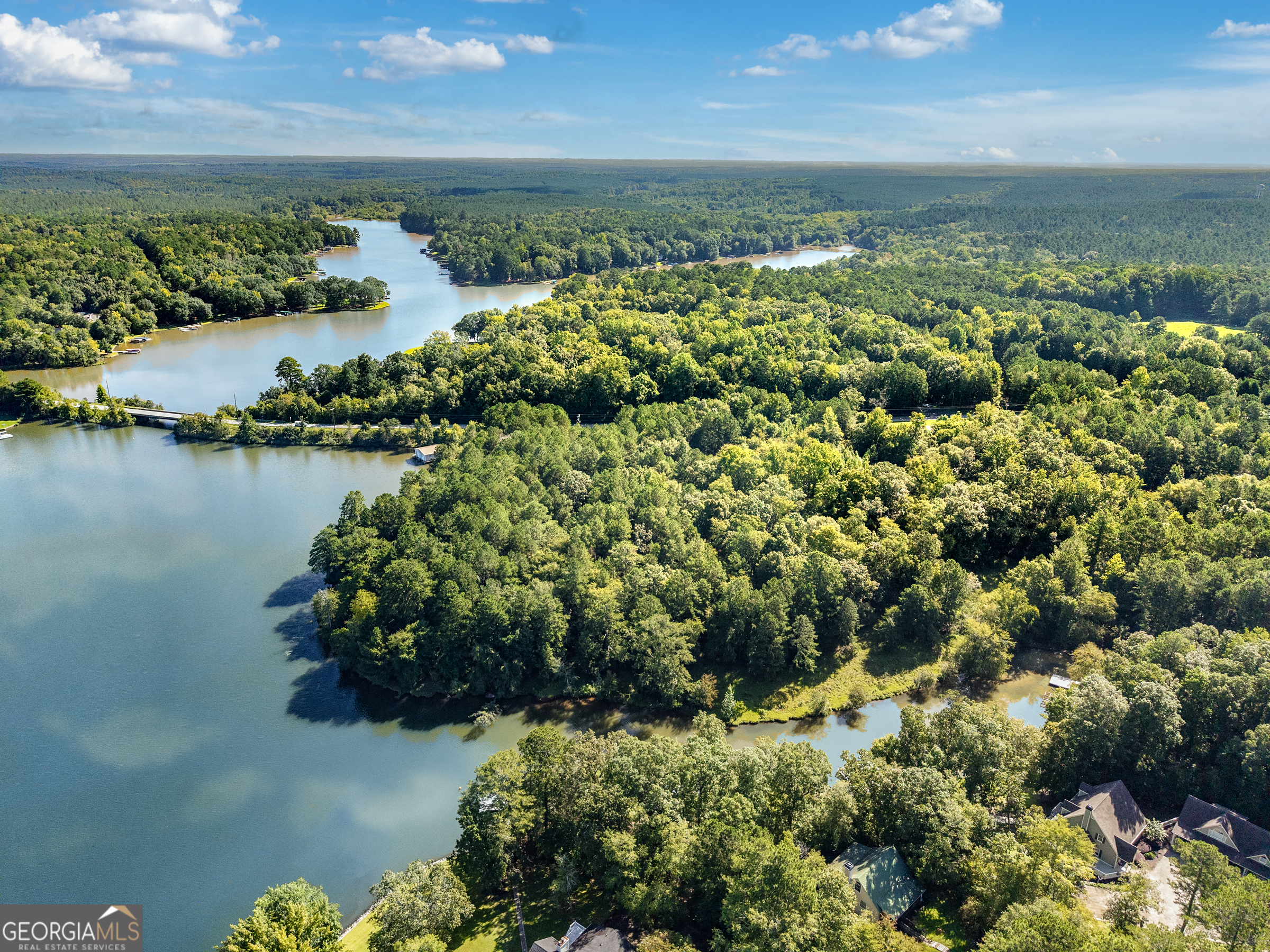 10-acres Walker Church Road Greensboro, GA 30642 - Photo 13 of 20