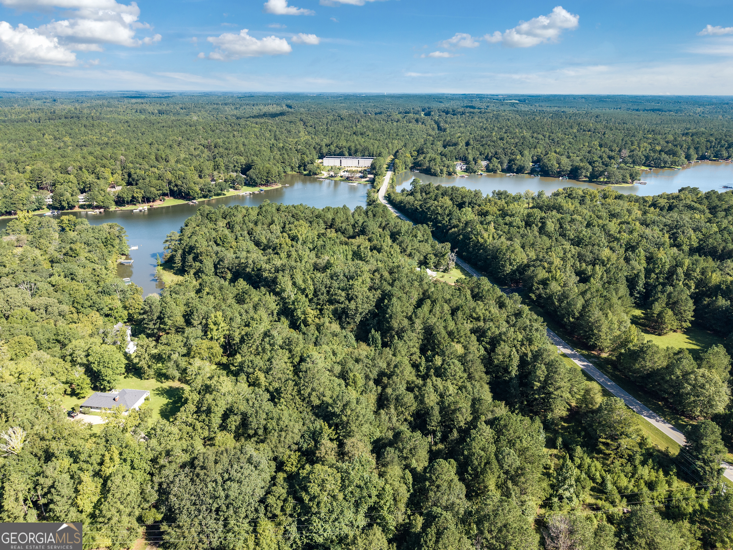 10-acres Walker Church Road Greensboro, GA 30642 - Photo 17 of 20