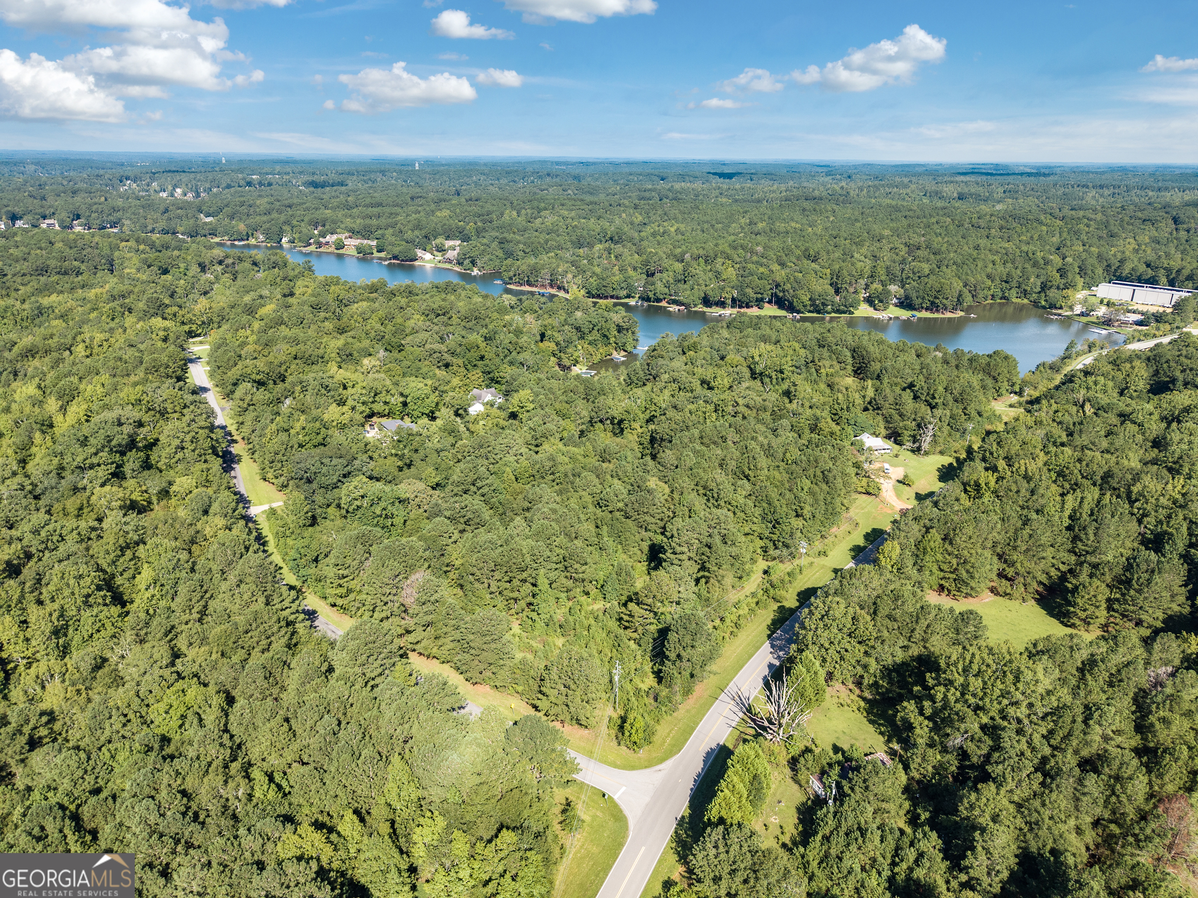 10-acres Walker Church Road Greensboro, GA 30642 - Photo 19 of 20