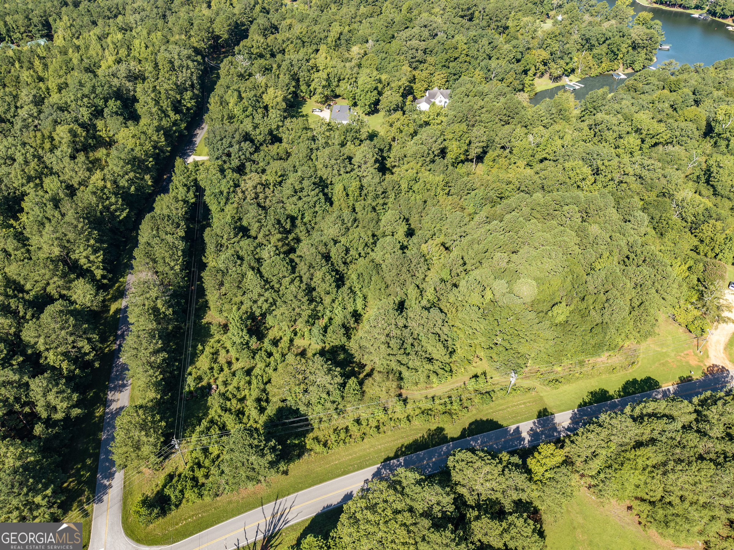 10-acres Walker Church Road Greensboro, GA 30642 - Photo 4 of 20