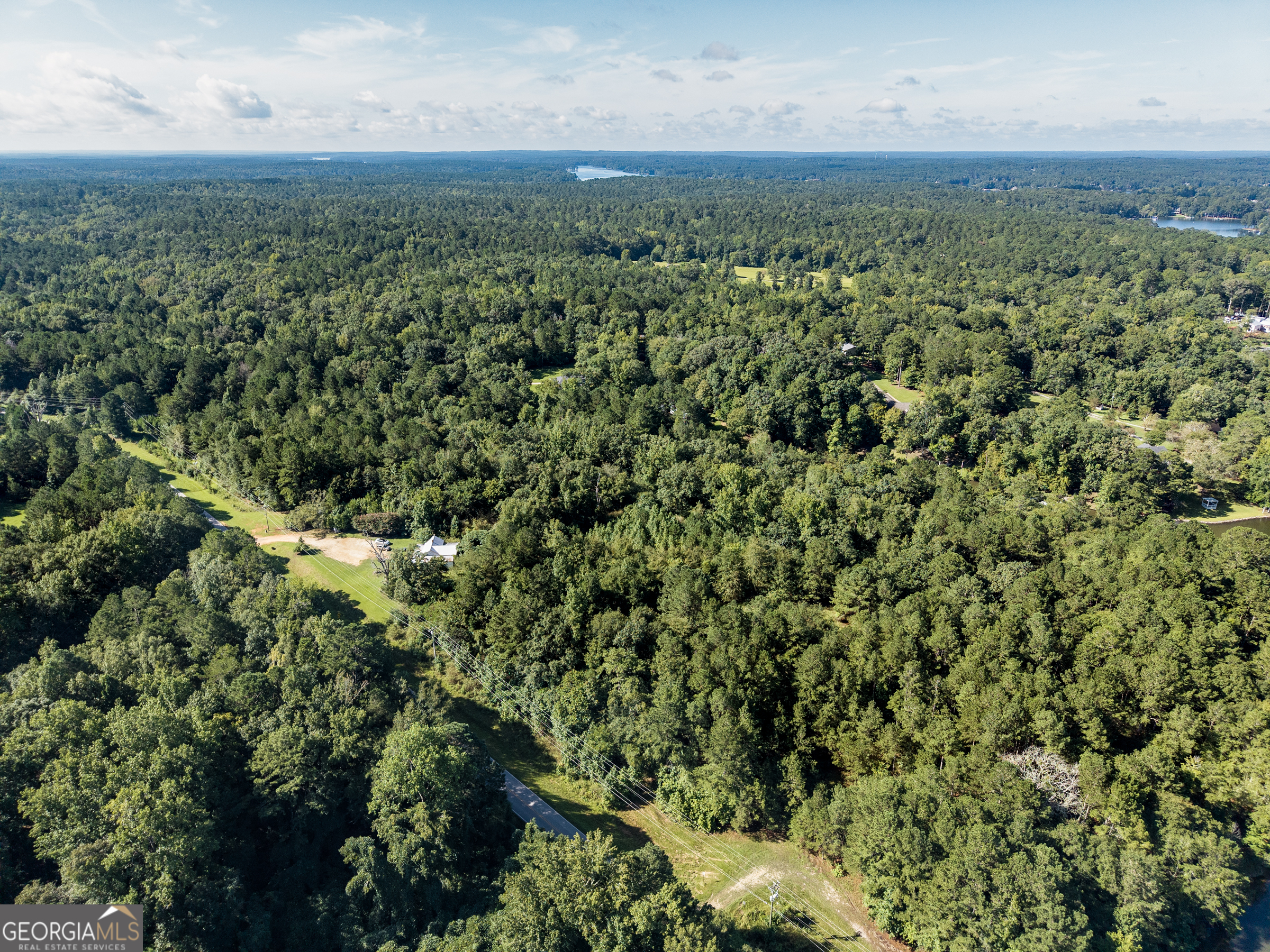 10-acres Walker Church Road Greensboro, GA 30642 - Photo 7 of 20