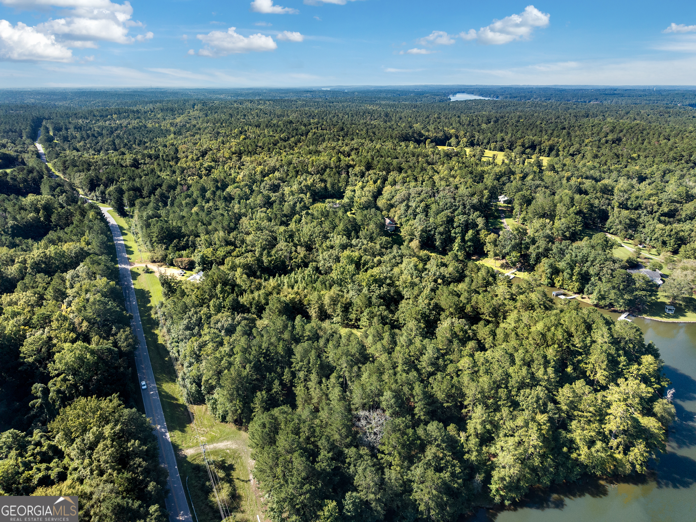 10-acres Walker Church Road Greensboro, GA 30642 - Photo 8 of 20