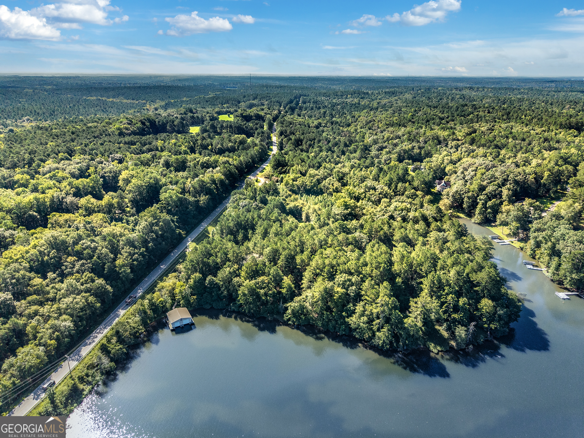 10-acres Walker Church Road Greensboro, GA 30642 - Photo 10 of 20