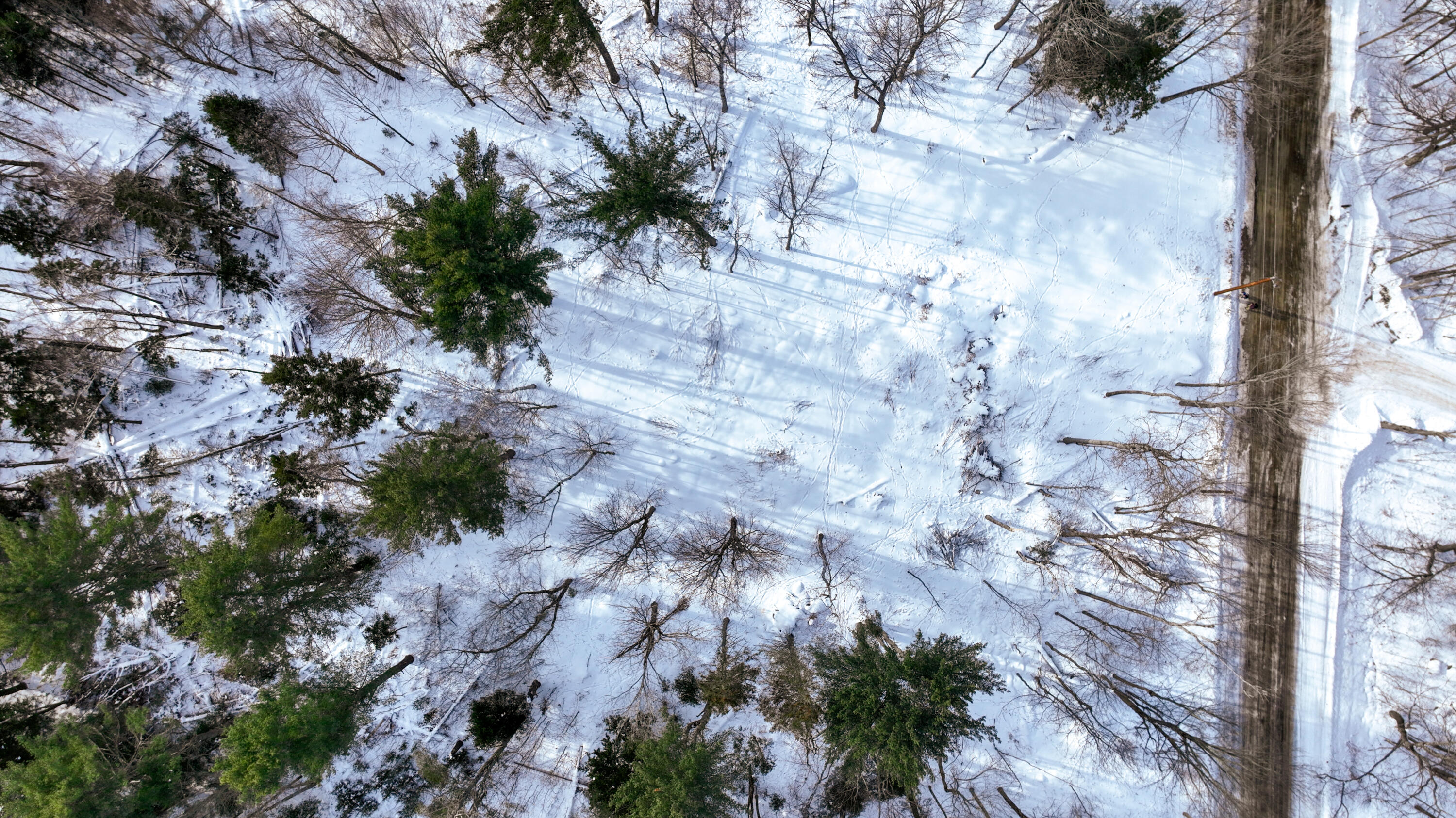 drone shot