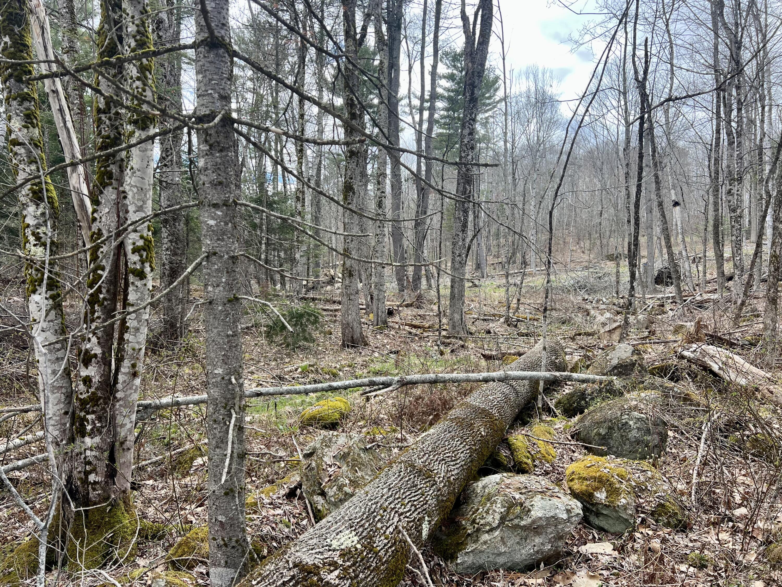 20 Skyscraper Hill Road Brooks, ME 04921 - Photo 15 of 16 IMG_8806