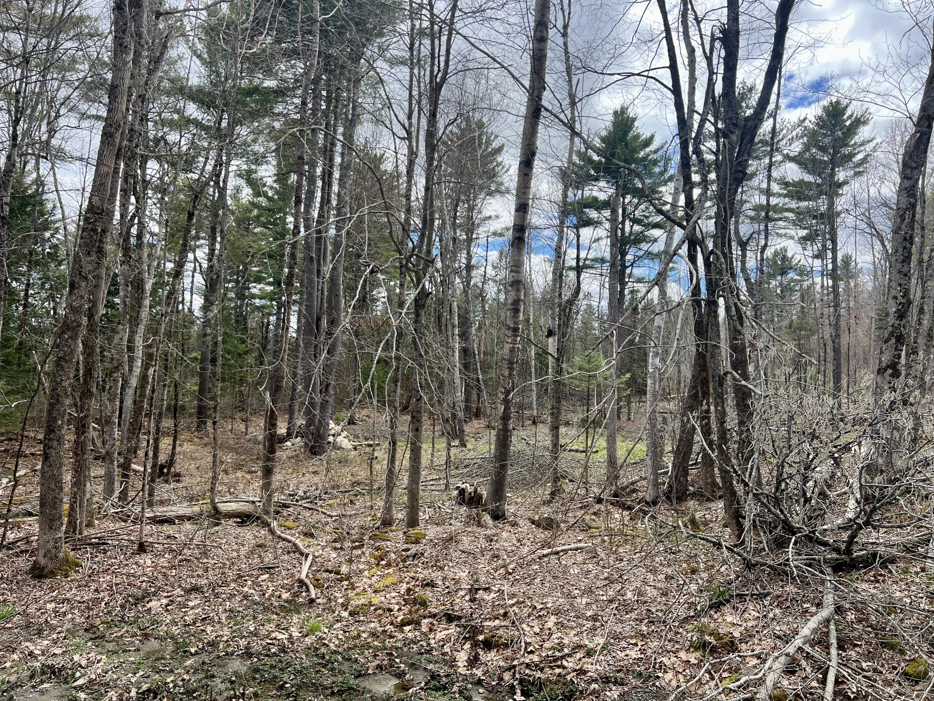 20 Skyscraper Hill Road Brooks, ME 04921 - Photo 16 of 16 IMG_8807