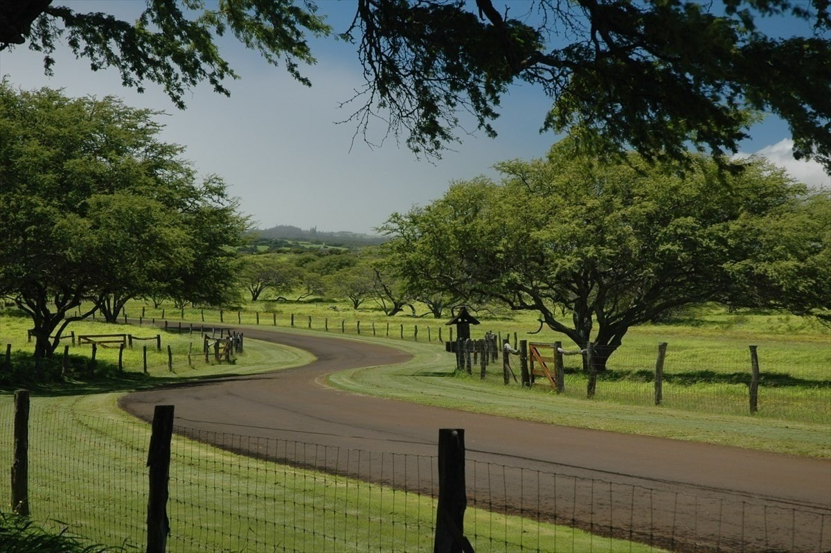 56-113 Lot 10-a Pualani Road Kamuela, HI 96743 - Photo 12 of 17 a view of a park with large trees