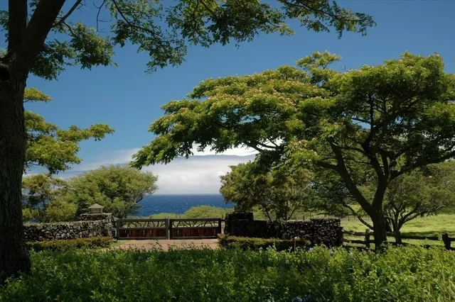 an aerial view of a houses with yard