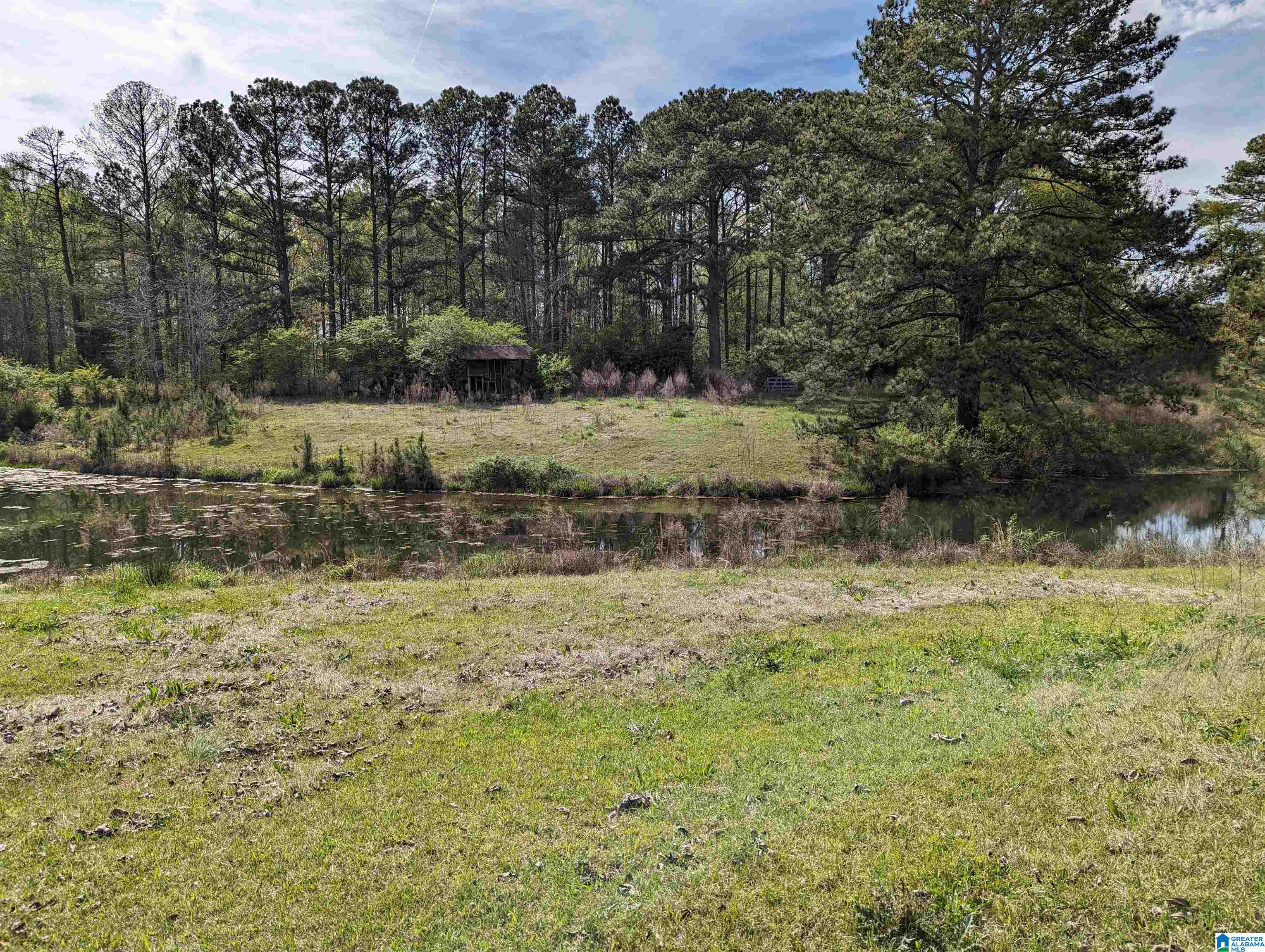 1383 Old Rock Creek Road Bessemer, AL 35023 - Photo 46 of 56