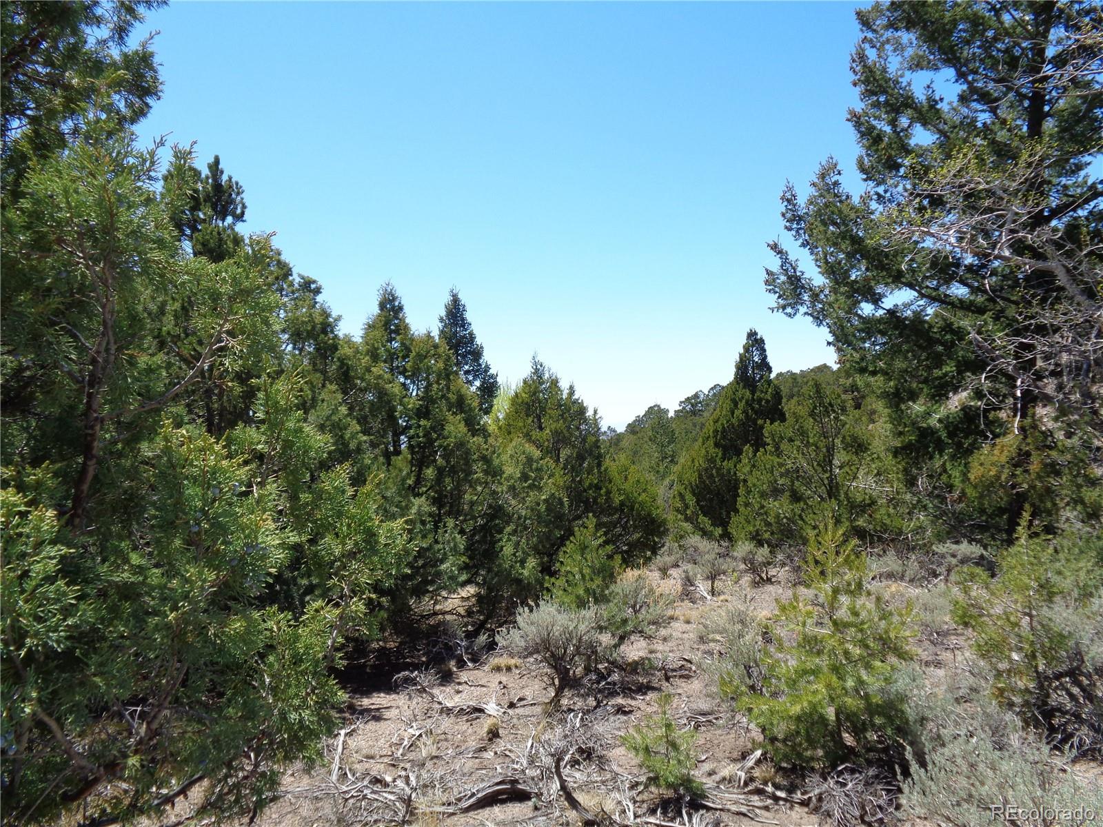 0 Balleroy Road Fort Garland, CO 81133 - Photo 1 of 12