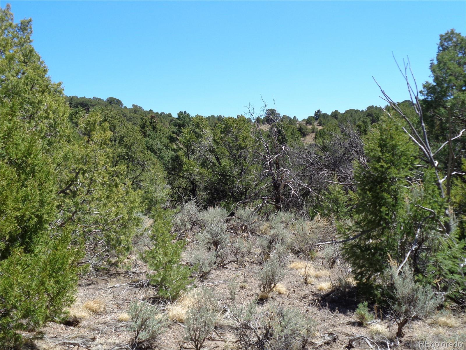 0 Balleroy Road Fort Garland, CO 81133 - Photo 11 of 12