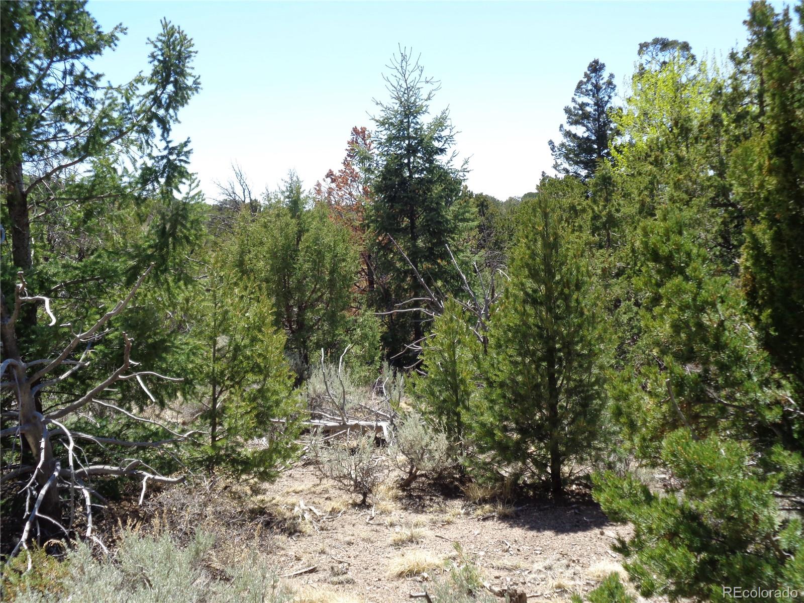 0 Balleroy Road Fort Garland, CO 81133 - Photo 12 of 12