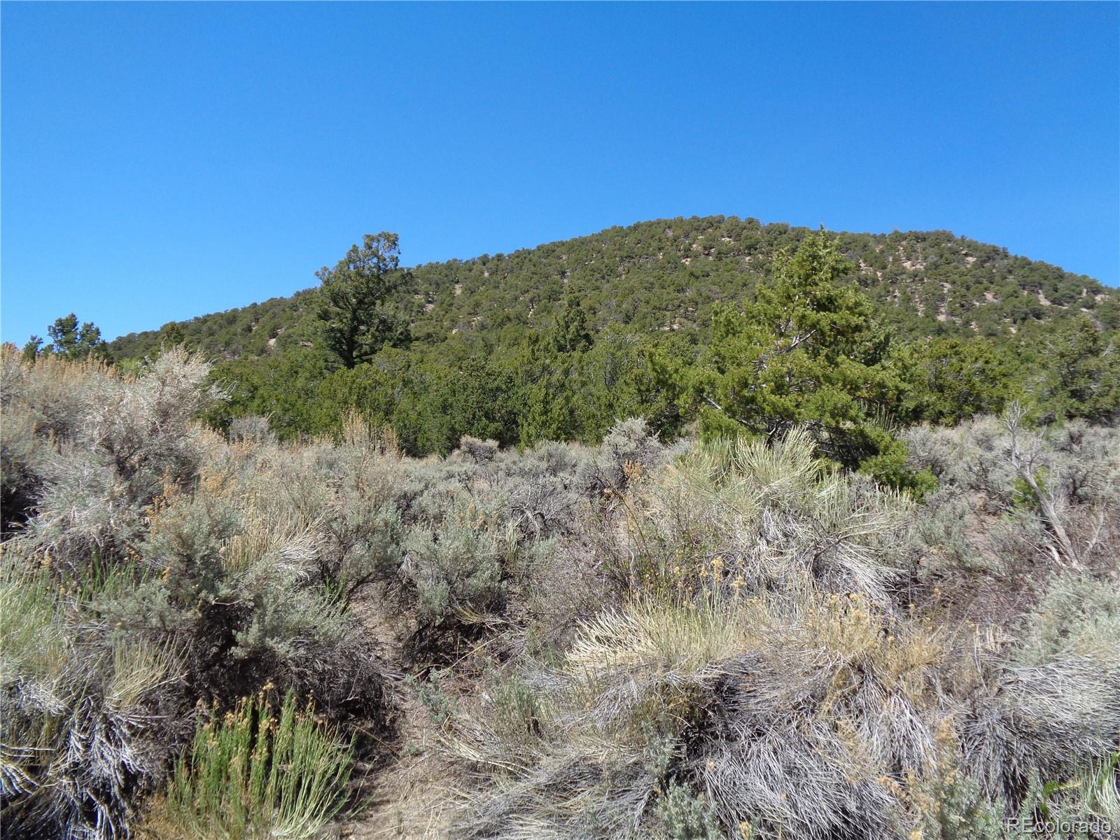 0 Balleroy Road Fort Garland, CO 81133 - Photo 3 of 12