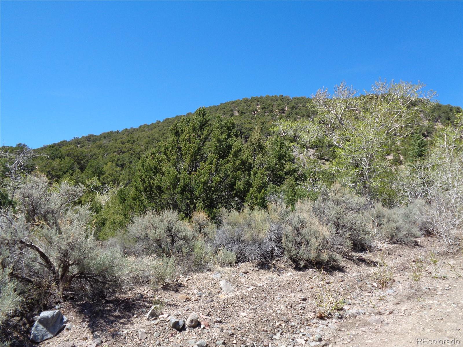 0 Balleroy Road Fort Garland, CO 81133 - Photo 7 of 12