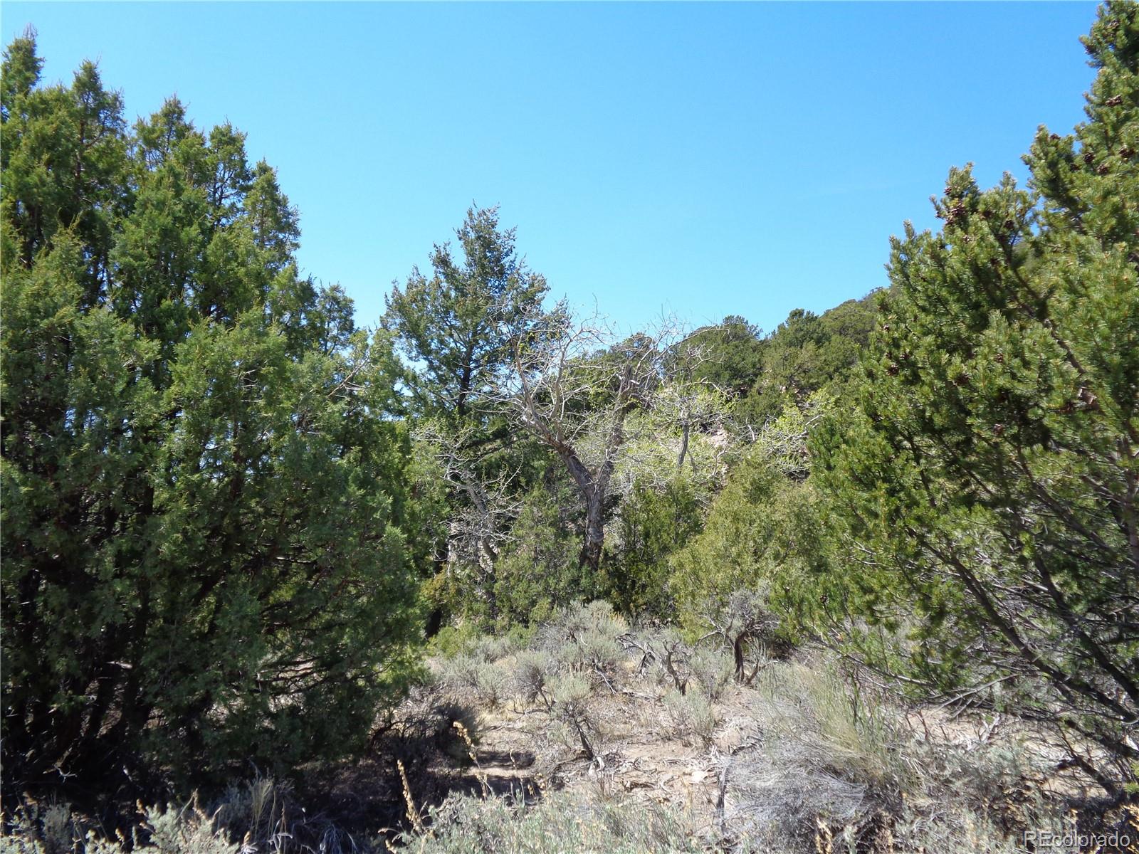 0 Balleroy Road Fort Garland, CO 81133 - Photo 8 of 12