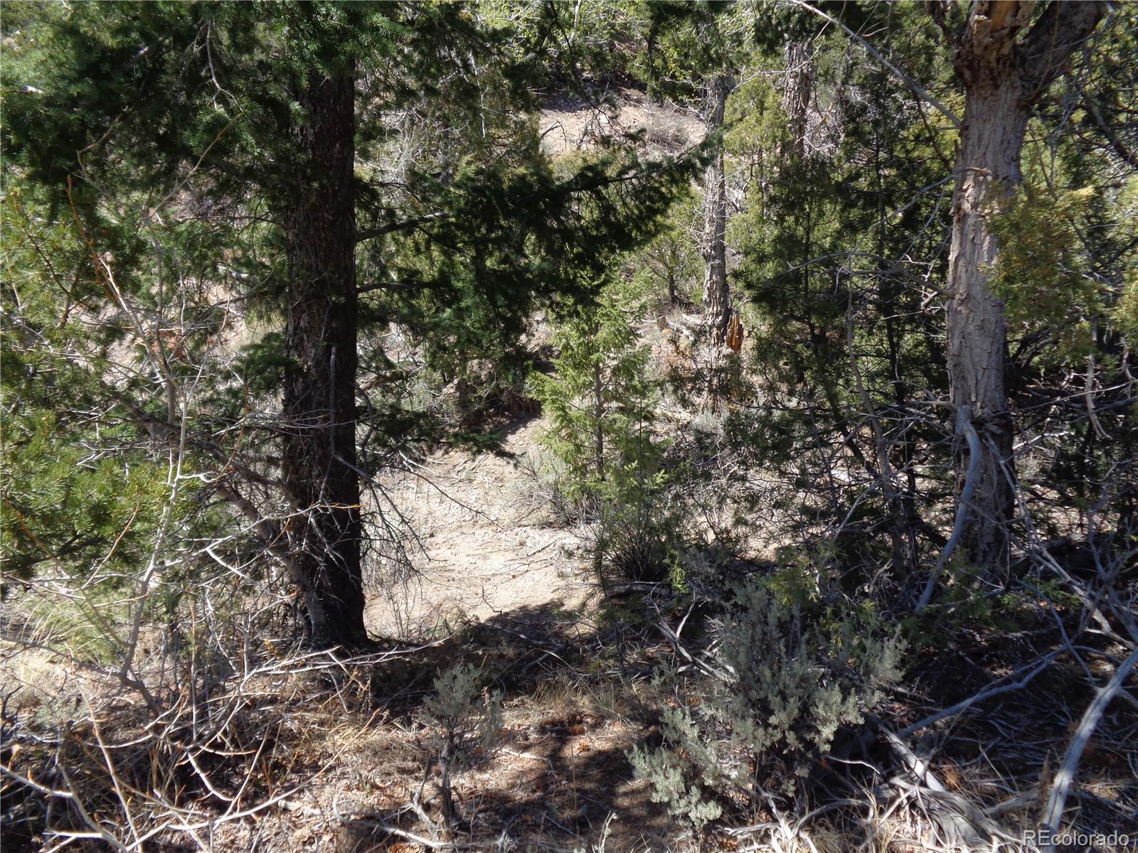 0 Balleroy Road Fort Garland, CO 81133 - Photo 9 of 12