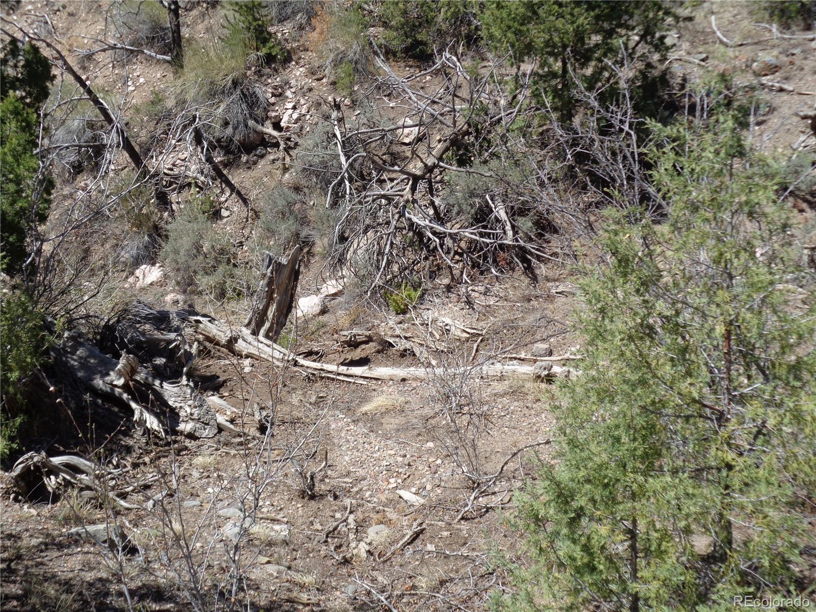 0 Balleroy Road Fort Garland, CO 81133 - Photo 10 of 12