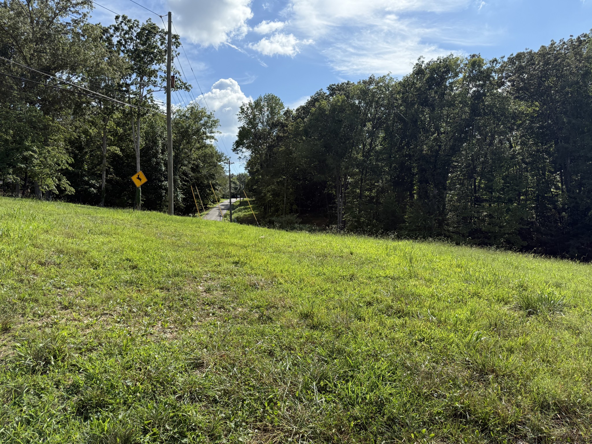 18 Setters Lane West Tullahoma, TN 37388 - Photo 3 of 20 a view of an outdoor space and a yard