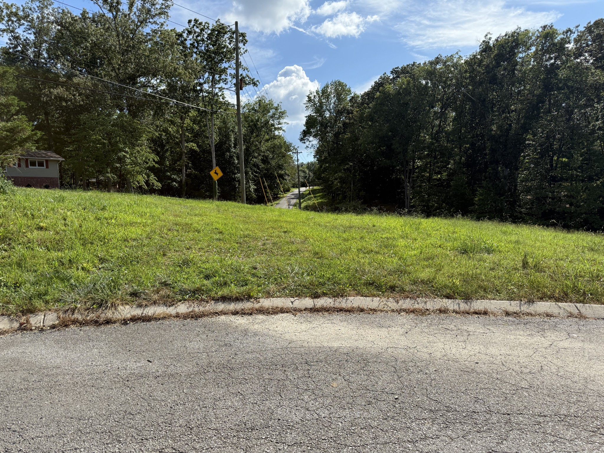 18 Setters Lane West Tullahoma, TN 37388 - Photo 4 of 20 a view of backyard with green space