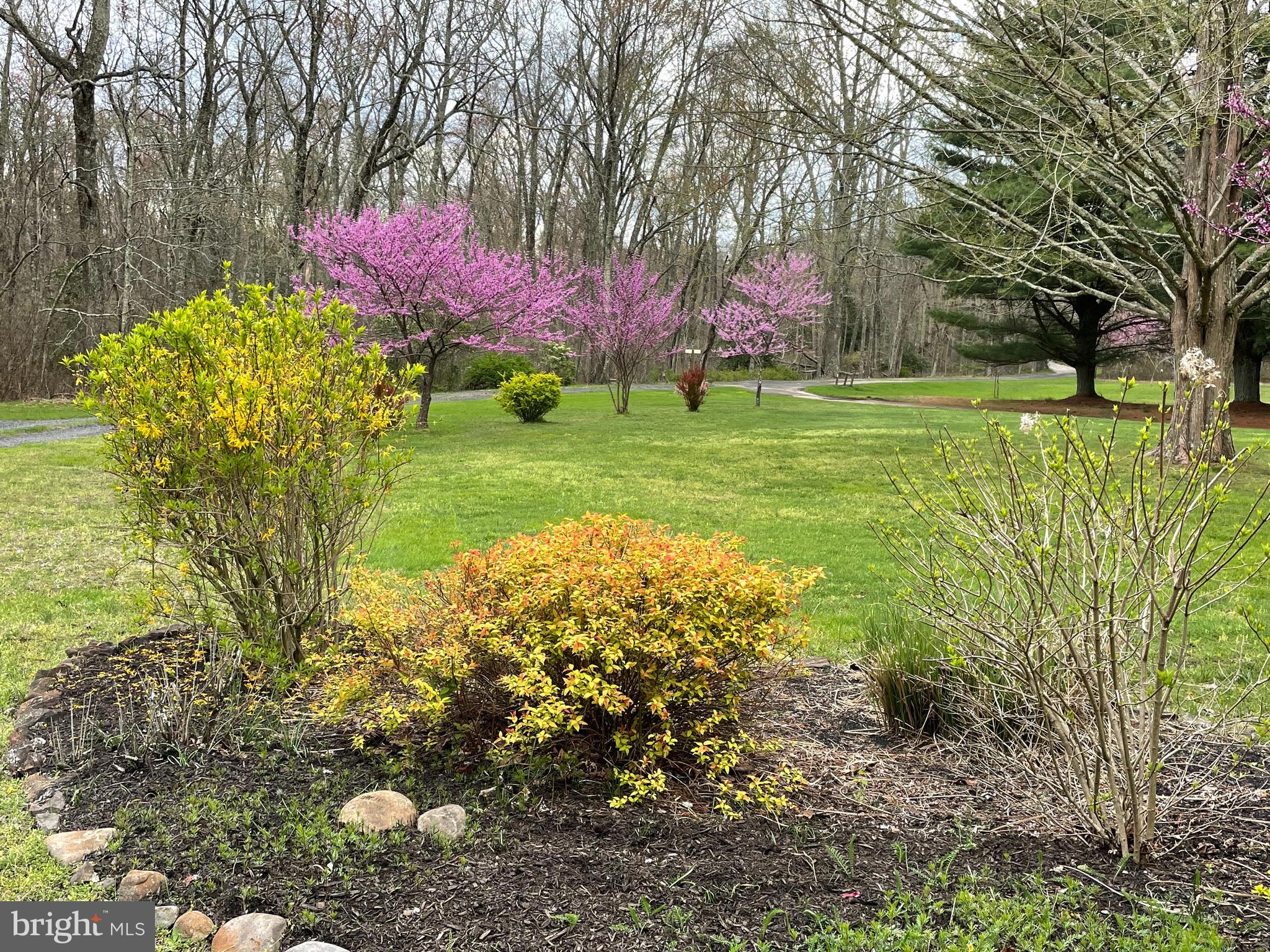 206 Burrs Mill Road Southampton, NJ 08088 - Photo 41 of 62 Gallery Image 41