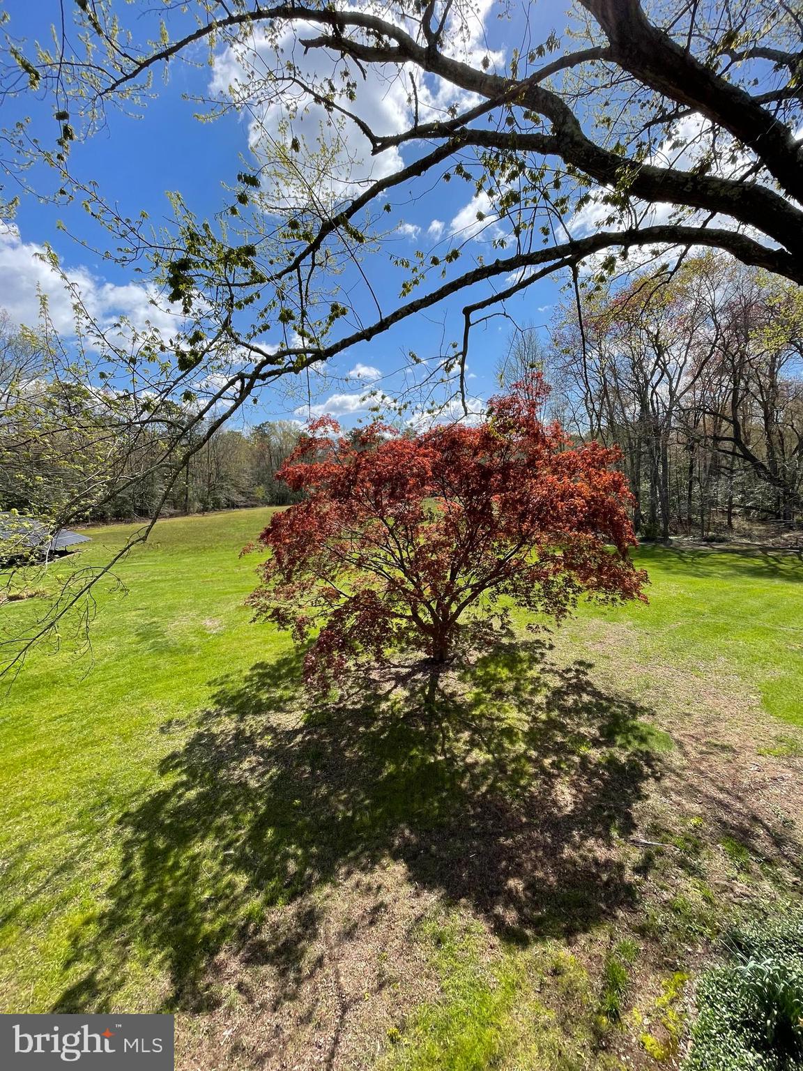206 Burrs Mill Road Southampton, NJ 08088 - Photo 42 of 62 Gallery Image 42
