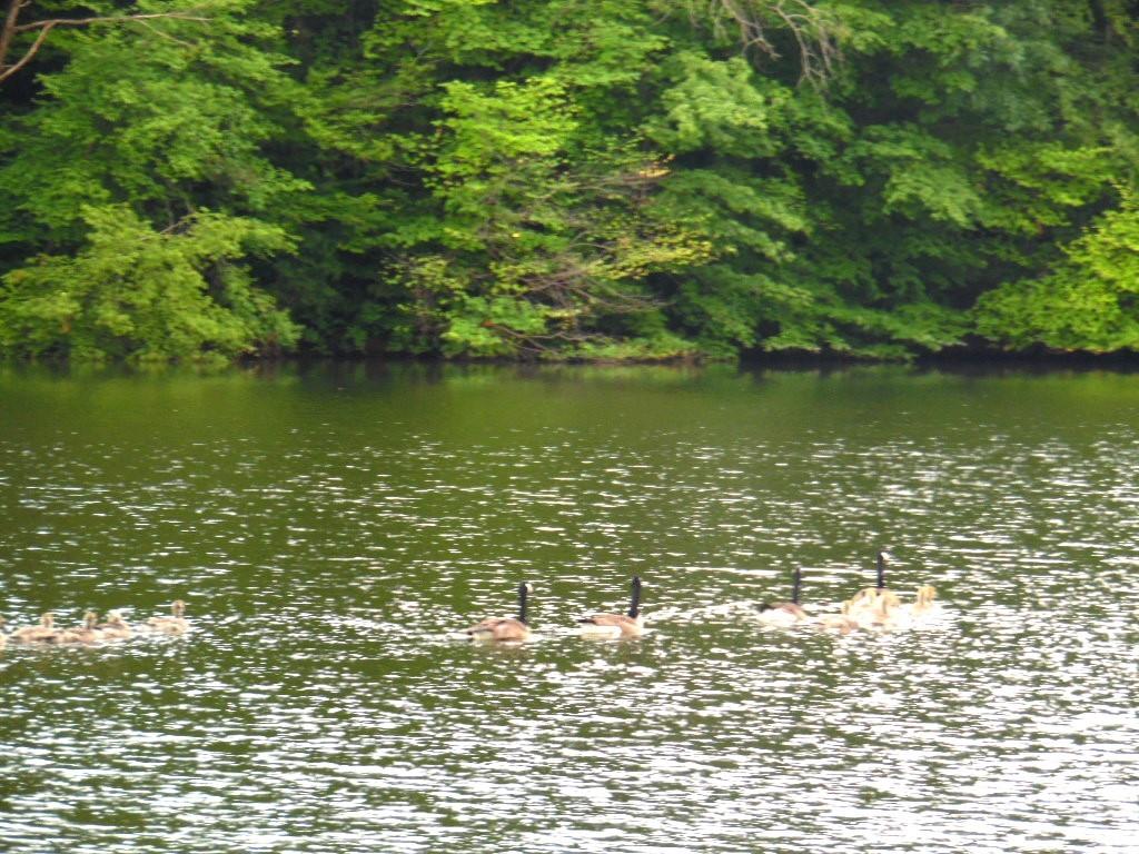 456 Markle Road Apollo, PA 15613 - Photo 19 of 21 Gallery Image 19