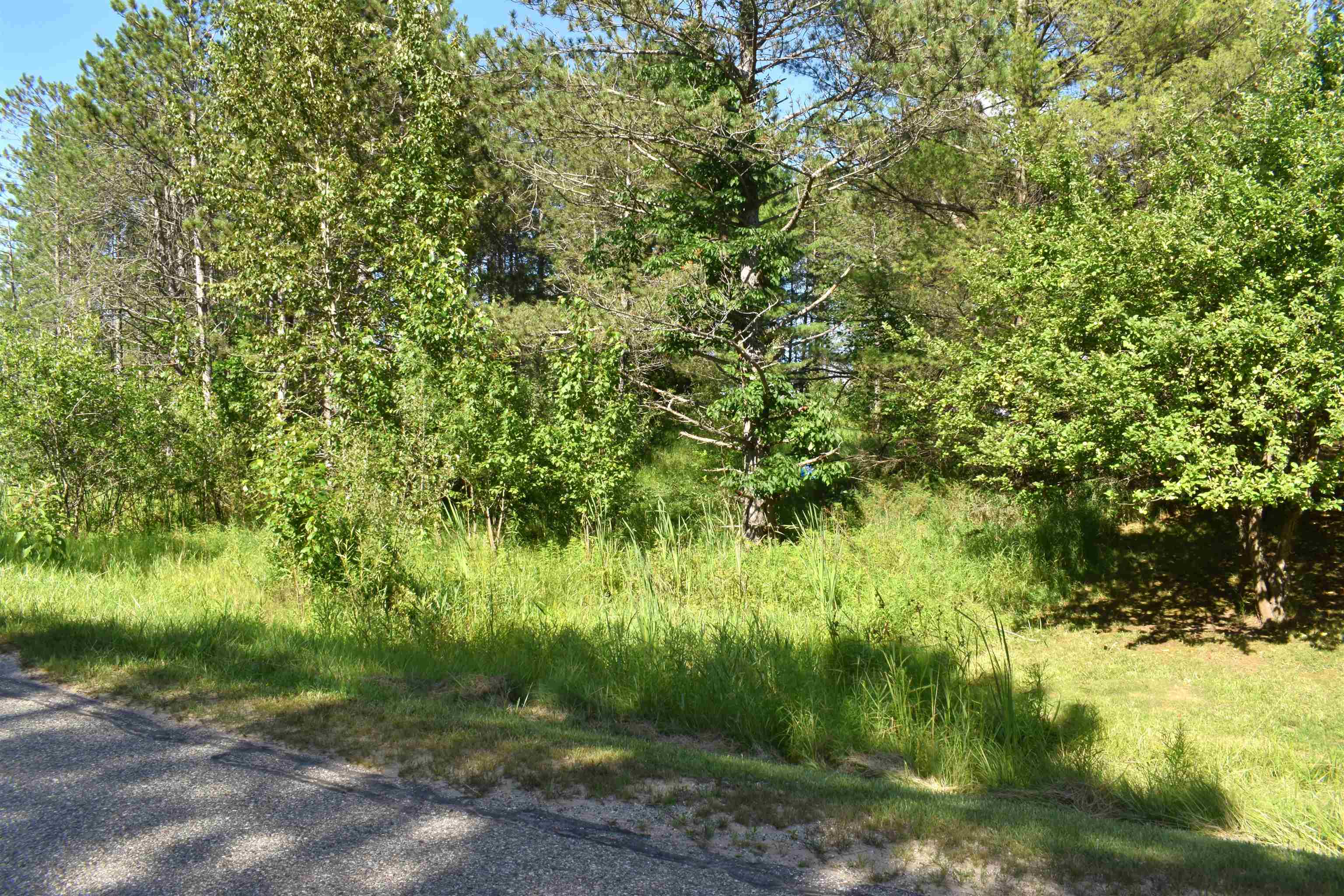 5486 Knights Way Gladwin, MI 48624 - Photo 7 of 7