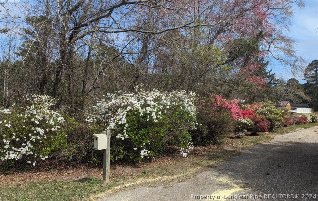 2364 Culbreth Road Fayetteville, NC 28312 - Photo 48 of 50 Gallery Image 48