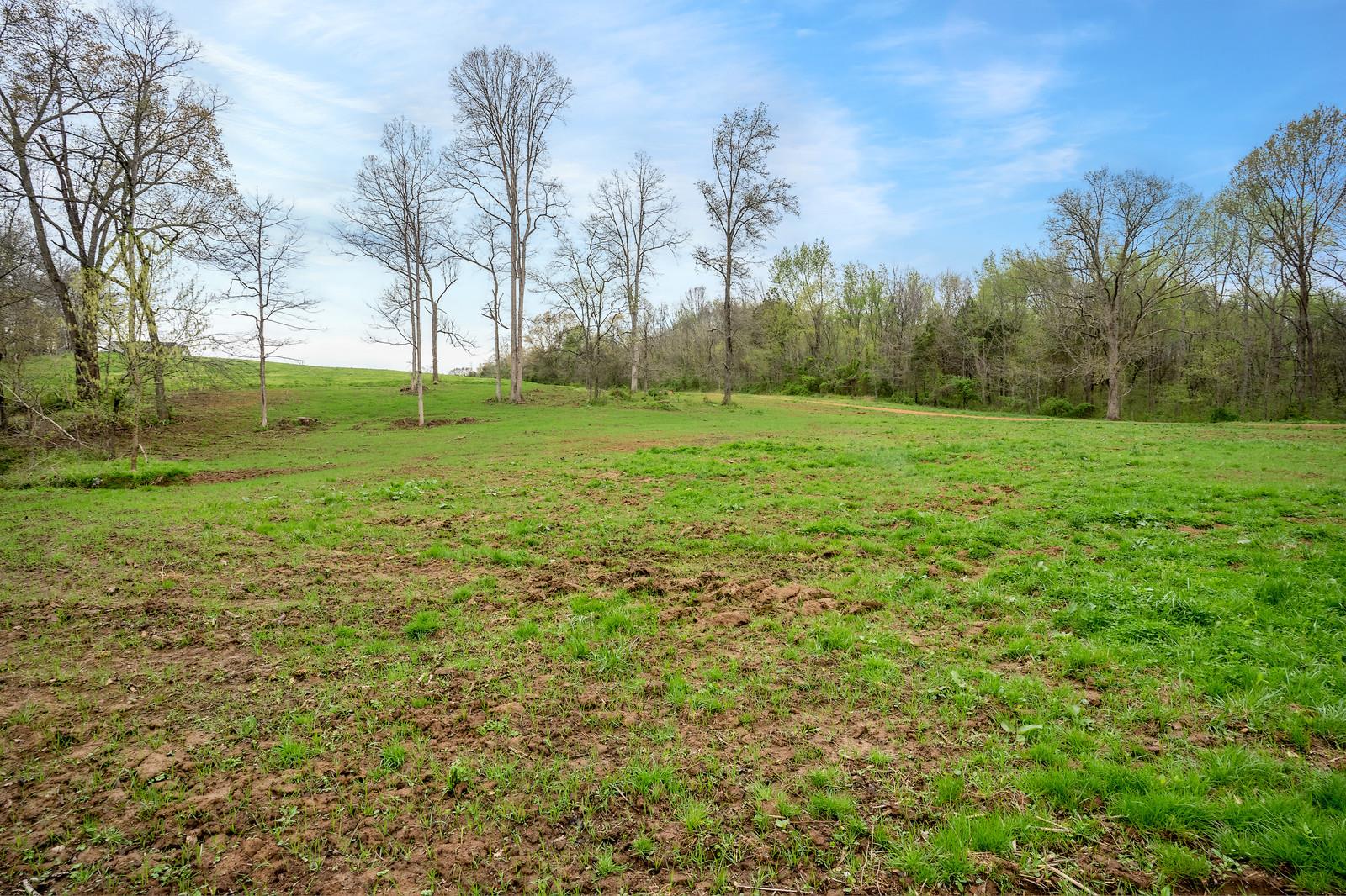 3 Mill Road Cross Plains, TN 37049 - Photo 5 of 7