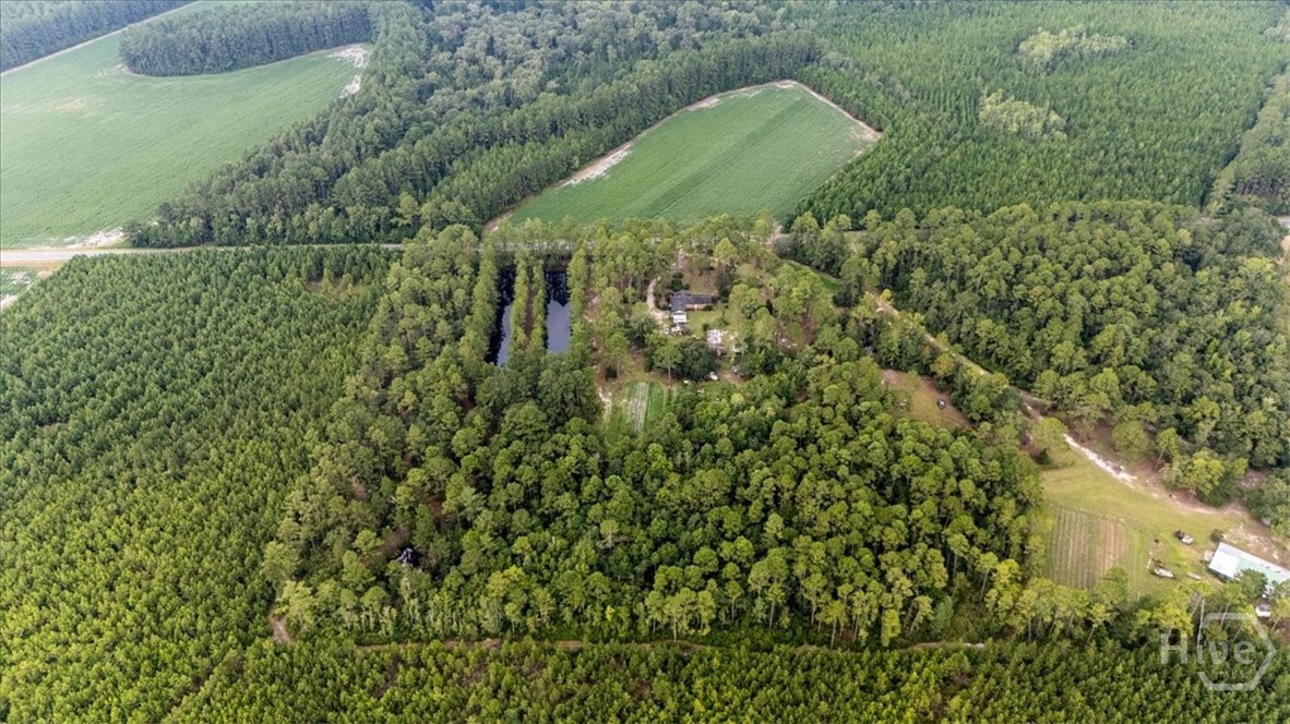 535 Wilma Edwards Road Pembroke, GA 31321 - Photo 24 of 25