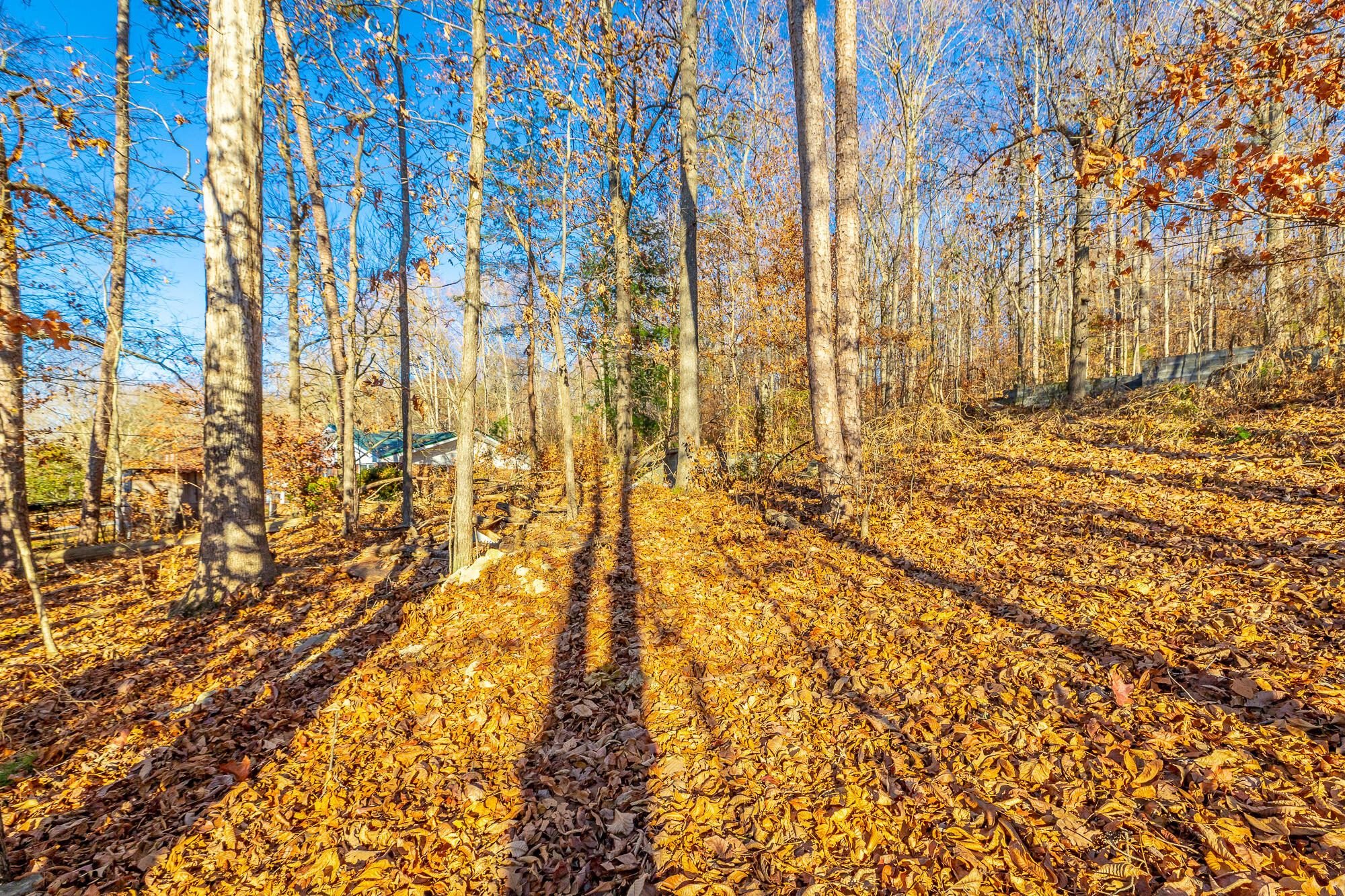 1968 Lake Road Tunnel Hill, GA 30755 - Photo 23 of 25 1968 Lake Road HD-0882