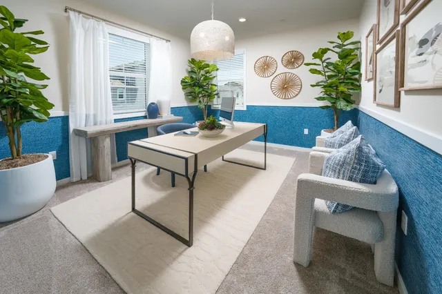 a living room with furniture and a potted plant