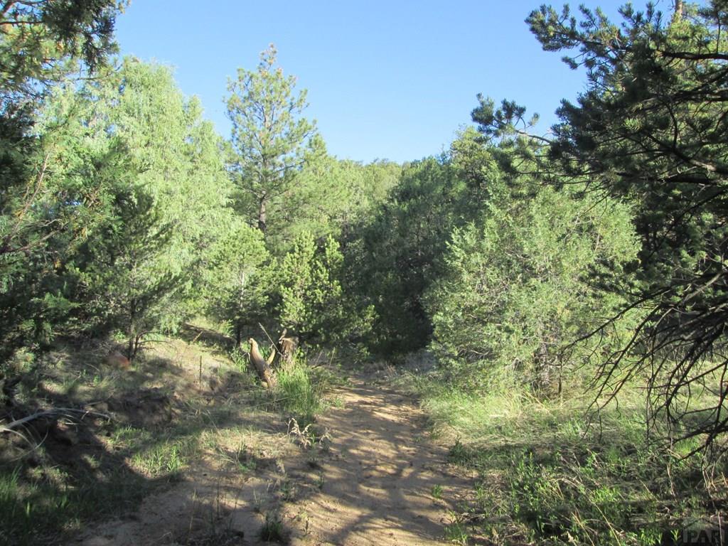 Lot #2 Milligan Ranch Gardner, CO 81040 - Photo 15 of 35 Gallery Image 15