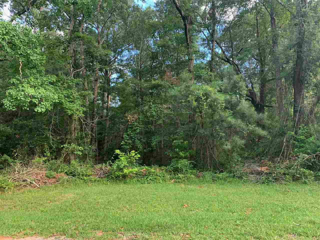 0 McKenzie Road Fairhope, AL 36532 - Photo 1 of 1