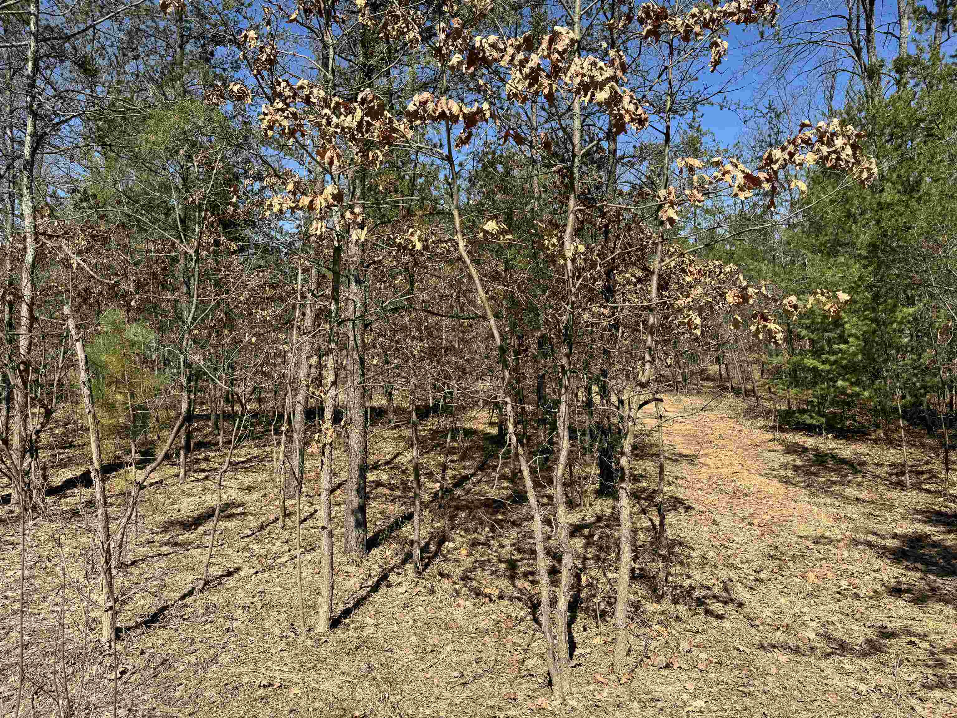 5265 Scharmen Road Traverse City, MI 49696 - Photo 3 of 11 Gallery Image 3