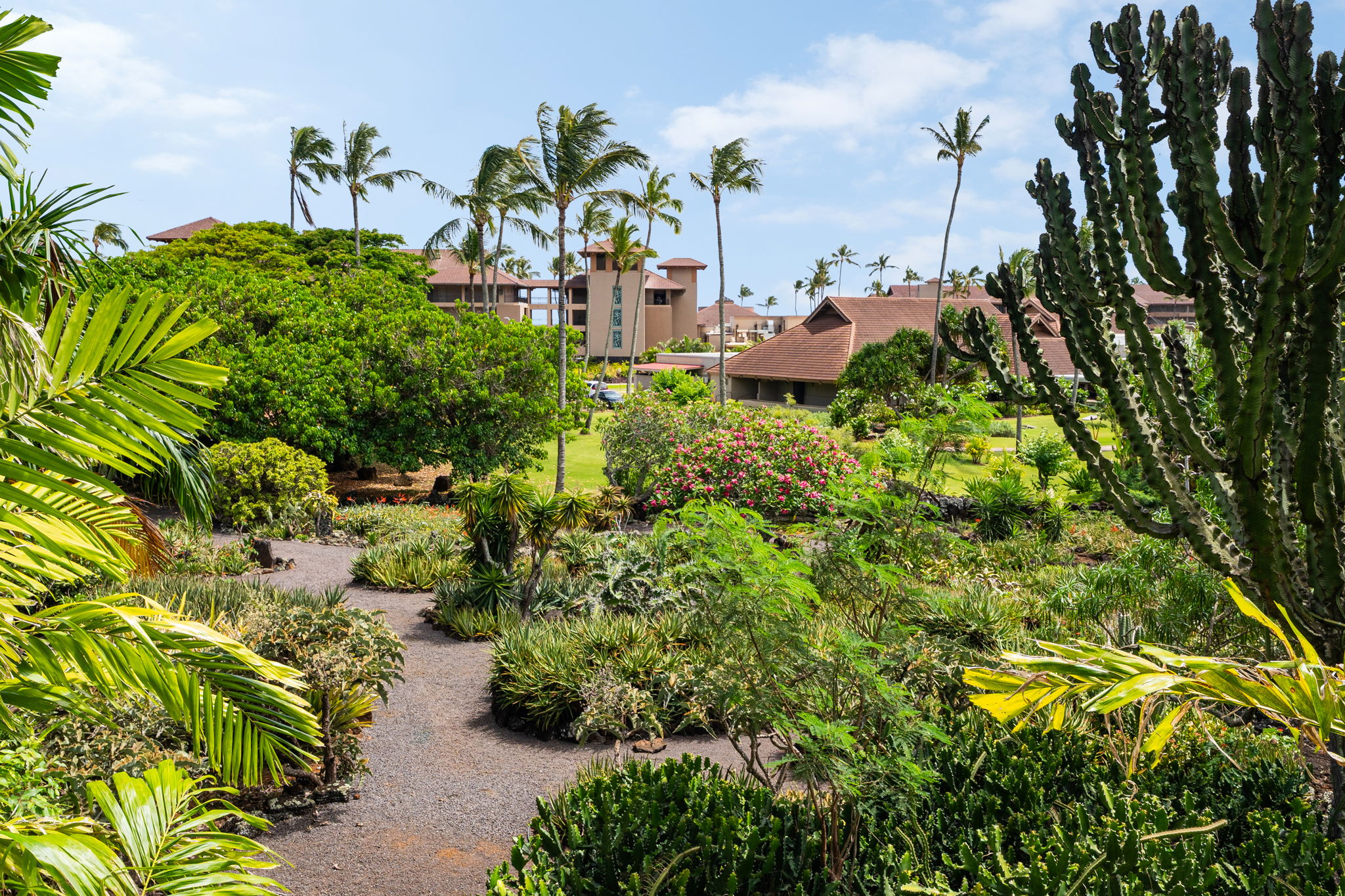 2253 Poipu Road, Unit 305 Koloa, HI 96756 - Photo 19 of 30