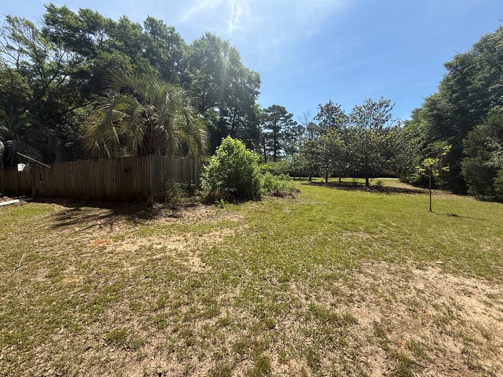 3231 County Road 46 Abbeville, AL 36310 - Photo 21 of 25
