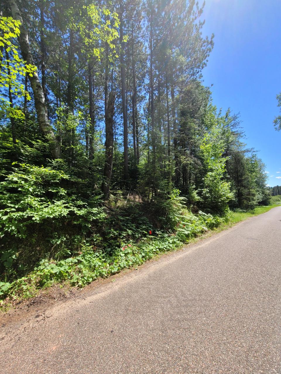 On Blue Bill Road, Unit LOT 2 Presque Isle, WI 54557 - Photo 1 of 9 Gallery Image 1